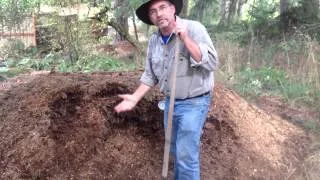 What Are The Stages Of Composting?