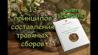 13 ПРИНЦИПОВ СОСТАВЛЕНИЯ ТРАВЯНЫХ СБОРОВ