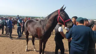 Shahidon ot bozori bugungi narhlar bilan tanishing 23.04.2024yil