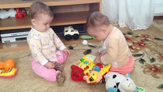 Дети двойняшки делят игрушку, Twins share a toy