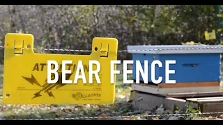 Bear Fence