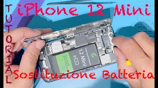 iPhone 12 Mini - Sostituzione batteria