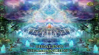 V.A. - Healing Shamanoids 2 | Full Mix