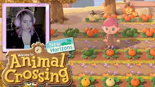 New Animal Crossing Island!