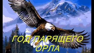 Год парящего орла