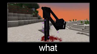 Minecraft wait what meme part 164 (headless enderman)