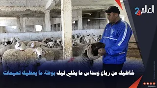 من أحد ضيعات سيدي علال البحراوي..أثمنة أضاحي العيد و إقبال المشتري