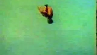1982 Men's Tower diving