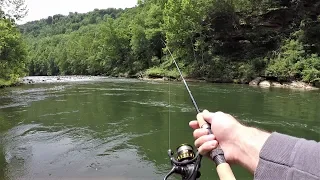 TROUT Fishing for Rainbow & Brown Trout with Spinners