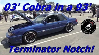 Terminator swapped 1993 Mustang Notch 2003 Cobra Mustang Conversion Fabulous Fords Forever 2019