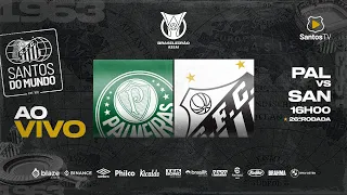 🔴 AO VIVO: PALMEIRAS 1 x 2 SANTOS | BRASILEIRÃO (08/10/23)