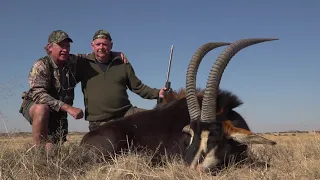 Sable hunt with Omni Safaris