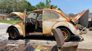 VW Beetle Barn Find  - First Wash In Decades!