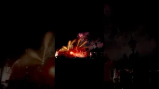 DISNEYLAND LION KING FIREWORKS | CIRCLE OF LIFE