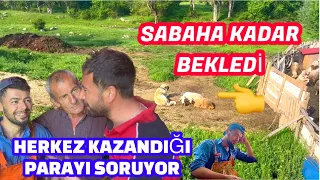 KOYUN VE KUZUYU BEKLEYEN KANGAL KÖPEĞİ / KEÇİ ISIRIRMI / HERKEZ KAZANDIĞIM PARAYI SORUYOR /