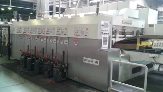 Goettsch - Zucamor Success Story Dong Fang Apstar HG 1628