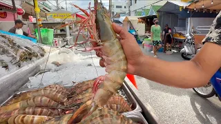 BBQ Grilling 1 FOOT GIANT TIGER PRAWNS in Hua Hin Thailand - Thai Street Food