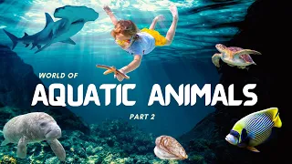 Underwater Wonders | Discovering Aquatic Animals part-2 | Marine life | Learning for Kids!..
