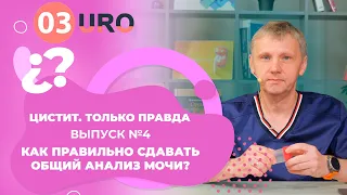 Как правильно сдавать общий анализ мочи?