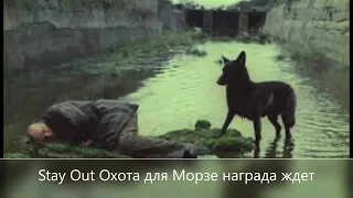 ⭐Stay Out⭐Сталкер-Онлайн 👍 Охота для Морзе награда ждет