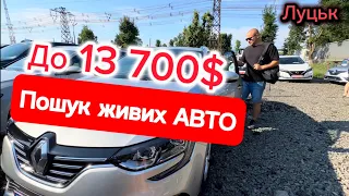 АвтоБазар ЛУЦЬК//Пошук ЖИВОГО Авто//Ціни на Skoda Volkswagen Megane// Що купити??? #автопідбір