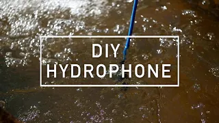 DIY Hydrophone