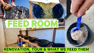 FEED ROUTINE/RENOVATION/TOUR | What we feed our horses!