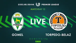 LIVE | Gomel – Torpedo-BelAZ | Гомель — Торпедо-БелАЗ