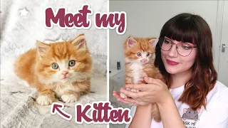 I adopted the cutest kitten who was found outside!