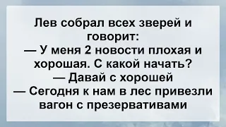 Анекдоты смешные до слёз! Сборник Веселых Анекдотов! Юмор!