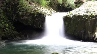 【ASMR風】1時間 自然音 心地よい滝の音 1hour Nature Sounds of a waterfall for Relaxing