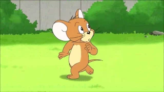 Tom and Jerry The Fast and the Furry 20051