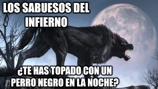 ¿Has Tenido un Encuentro con un PERRO NEGRO EN LA NOCHE? ¡Cuidado! Era un SABUESO INFERNAL