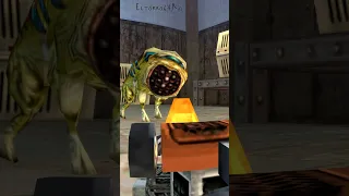 Half-Life: Ep5 | Feeding Stray Houndeye with RC Car