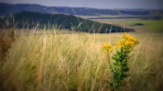 Ринат Валеев - Сине эзлэдем