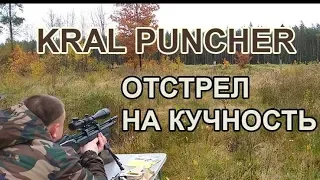 Отстрел на кучность PCP Крал Панчер Брейкер 6.35мм Kral Puncher Breaker 6.35mm