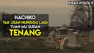 KISAH NYATA !! 10 TAHUN MENUNGGU MAJIKANNYA PULANG - Alur Cerita Film Hachiko A Dogs Story