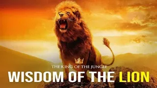 Wisdom Of Lion - Embracing the Lion Mentality - Best Motivational Documentary