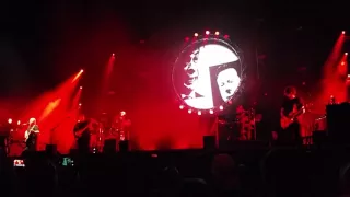 Australian Pink Floyd Pigs Three Different Ones 2016 Portsmouth, VA