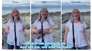 Shine! By Collective Soul (a la Dolly Parton) Ukulele cover - sing along and learn to harmonize!