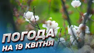 🌧 Погода на 19 квітня: Україну знову накриють дощі!