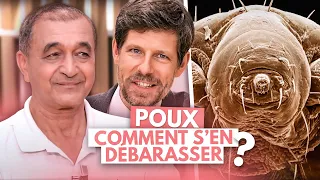 Poux : comment s’en débarrasser ? - Allo Docteurs