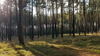 Дыхание Осени -Сергей Грищук