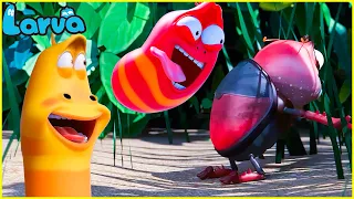🍬🍎LARVA COMPILATION 🍬🍎 TOP 300 EPISODE 🍬🍎 THE BEST FUNNY CARTOON BOX | CARTOON FOR EVERYONE