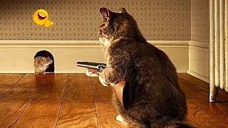 Funniest Animals 2024 🤣 - New Funniest Cats and Dogs 😹🐶 Part 35 #animals #funny #viral #trending