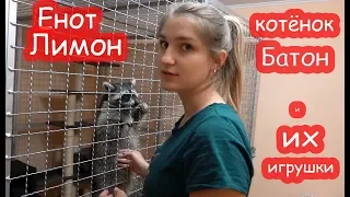 VLOG Сюрприз для моей сестры. Покупаю себе одежду. Где играется Батон