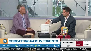 Combating rats in Toronto with Daniel Mackie