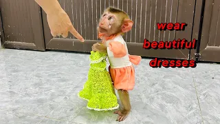 Monkey Diana wants to wear a beautiful dress and ask her mother to go out and play