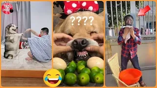 💯Tik Tok Trung Quốc😂Những Khoảnh Khắc Hài Hước Thú Vị Bá Đạo trên Tik Tok Trung Quốc Triệu View#32