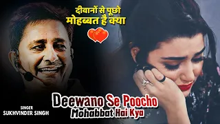 Deewanon Se Poochho Mohabbat Hai Kya - (Sad Song) Kurbaan | Salman Khan, Ayesha | Sukhwinder Singh